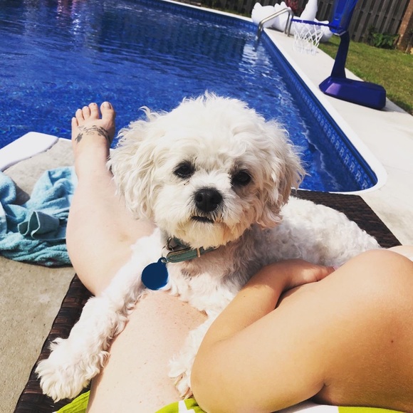 🌺 Meet your Posher 🌺 - Picture 8 of 12